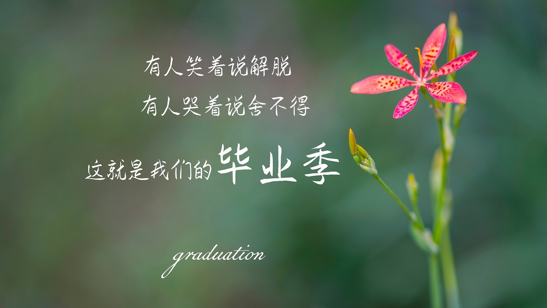 “法甲争冠激烈，压力之下豪门表现不俗”，法甲竞争激烈