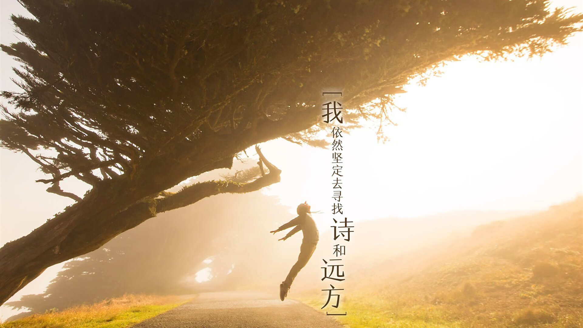 特色航海模拟体验大赛，探索海上运动的未来，2021年航海模型比赛主题
