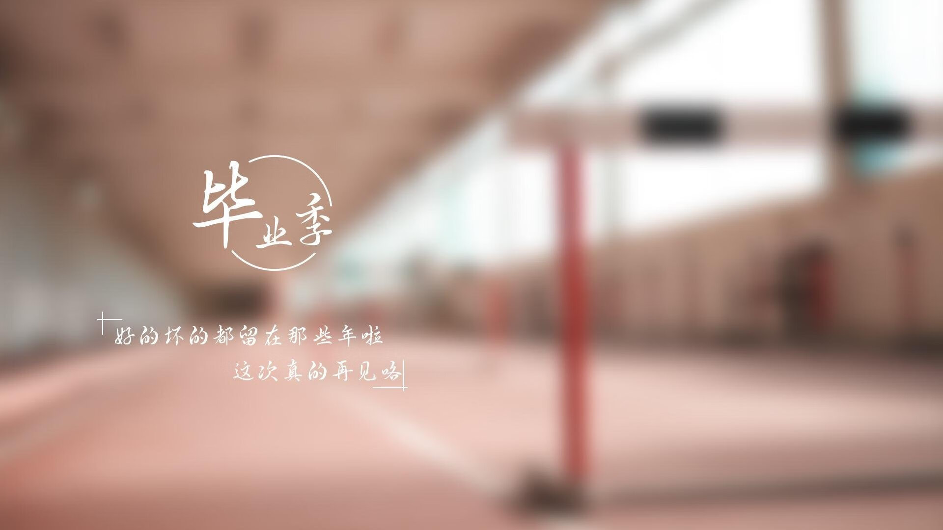 赛季热搜：网友最关心的问题与答案，最近赛季