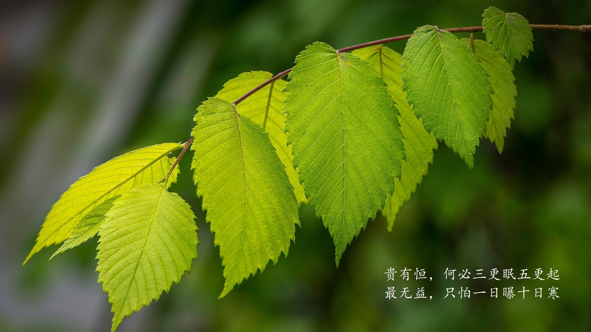 爱游戏电竞官网-新疆飞虎 防守效率提升，新疆飞虎外援最新消息