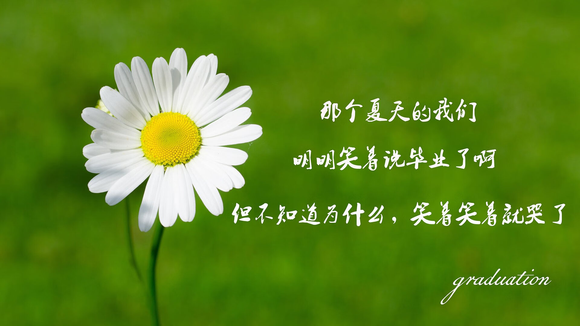 爱游戏娱乐平台-柬埔寨女足首战告捷，提前锁定出线，柬埔寨足球队