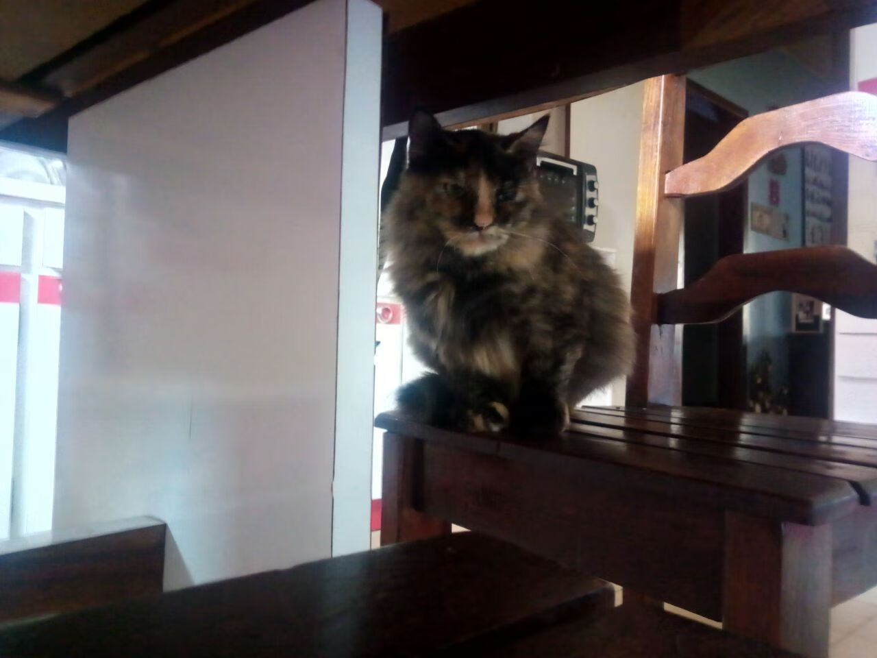 AYX GAME-“拳脚出击，自由搏击赛场硝烟四起！”