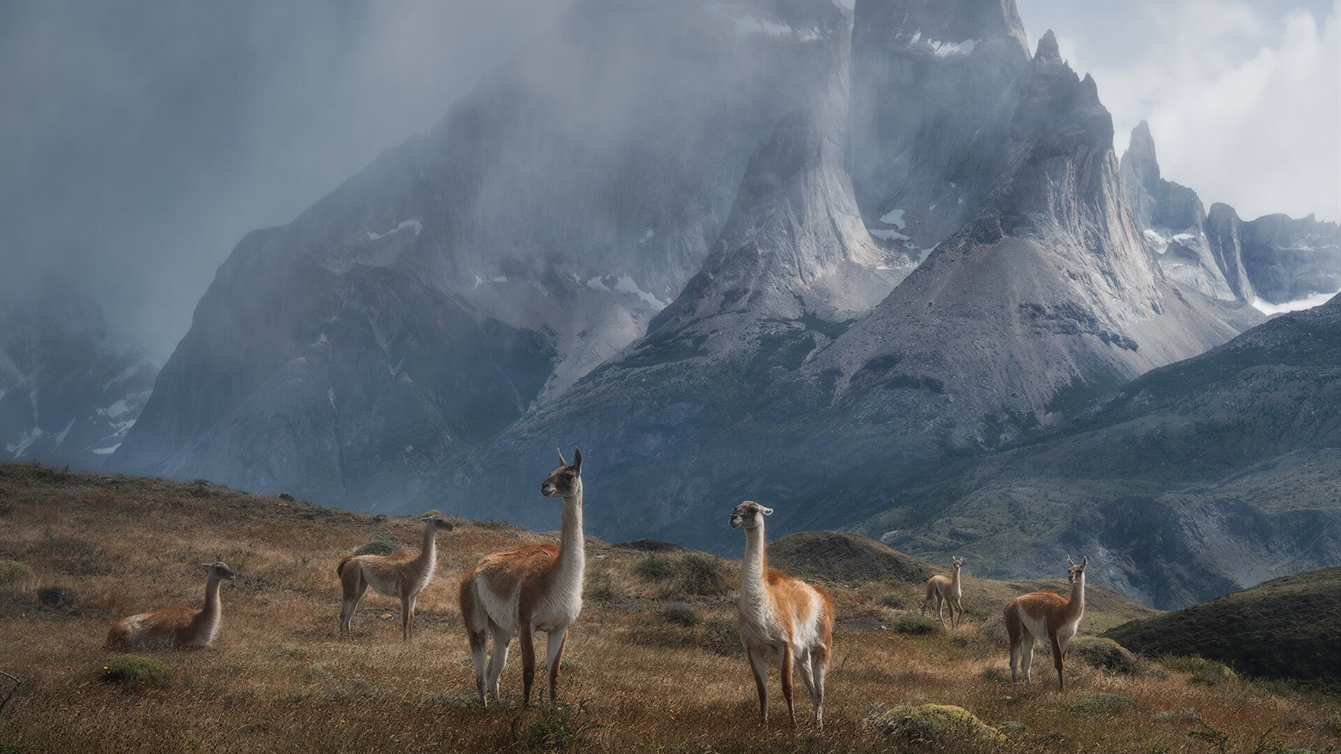 爱游戏体育app-五大联赛是否出现门将长距离发起进攻趋势回归，五大联赛开打