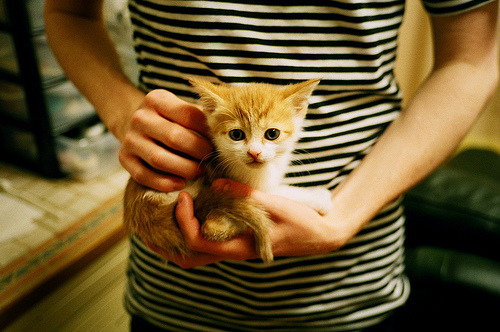 全运会火炬传递结合城市夜跑活动,全运会火炬如何传递