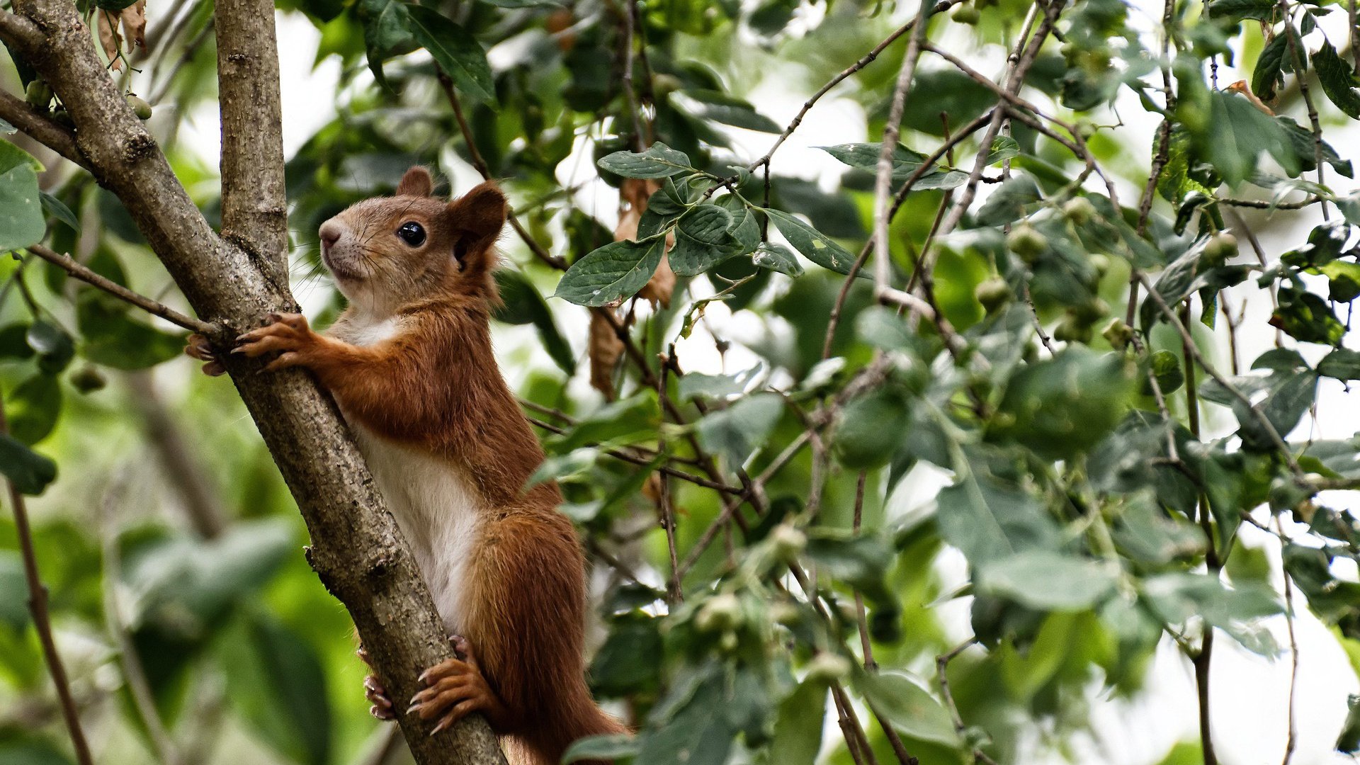 国家队训练设施与国际差距分析，国家队训练设施与国际差距分析论文