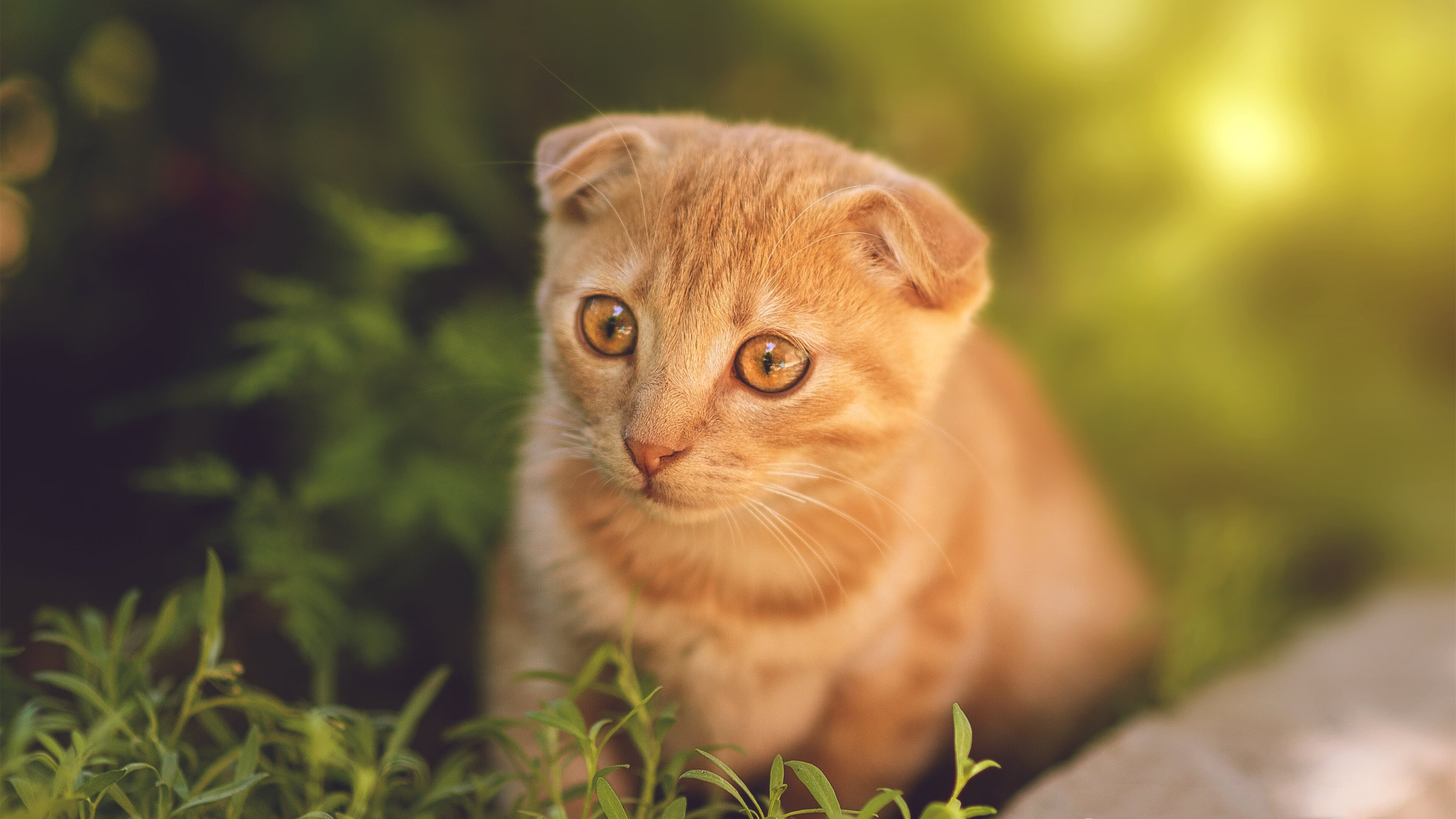 射箭世界杯中国队多人晋级八强，射箭世界杯中国获男团亚军