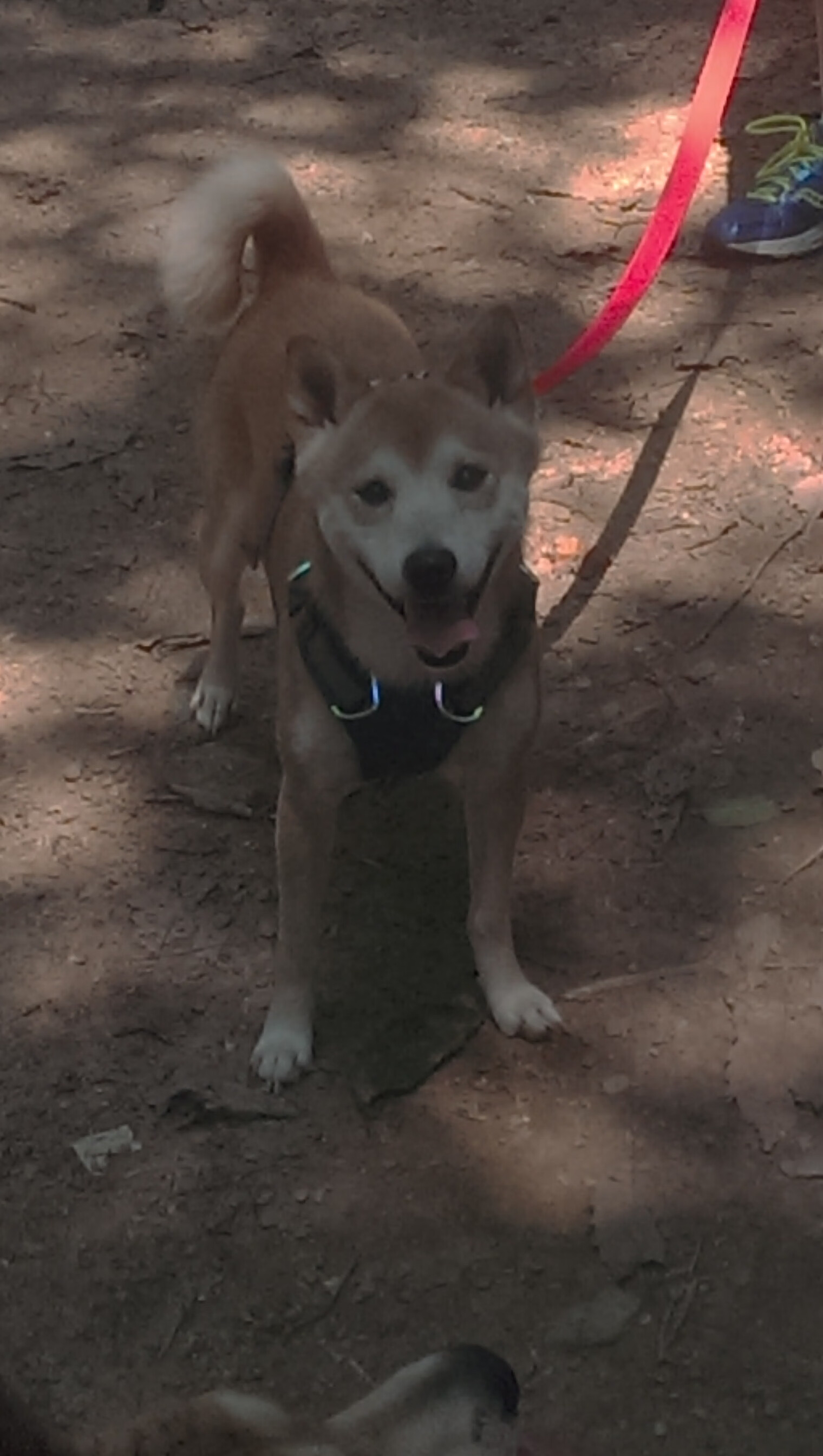 爱游戏娱乐网址-恩波利强调战术纪律压制对方进攻线路，恩波利里奇