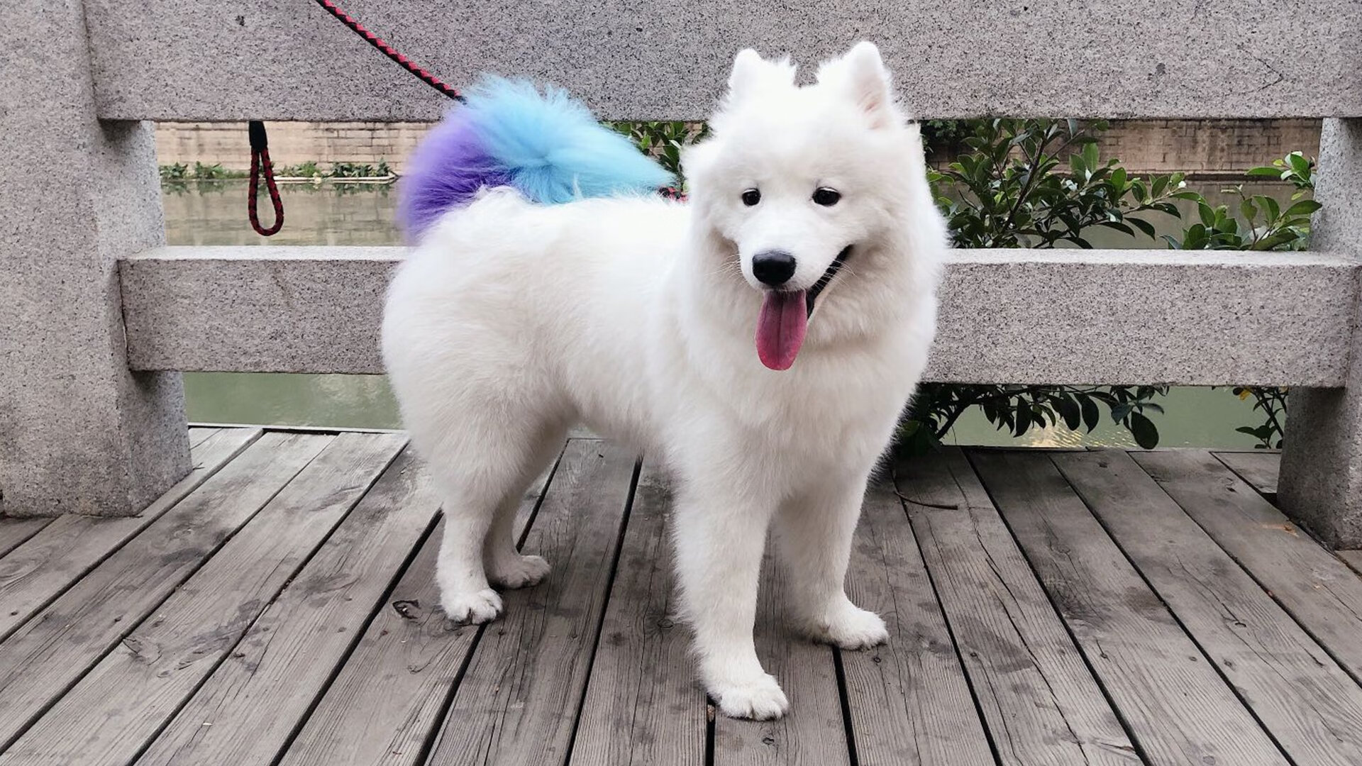 爱游戏-维拉核心球员伤愈复出带来积极变化，维拉实力