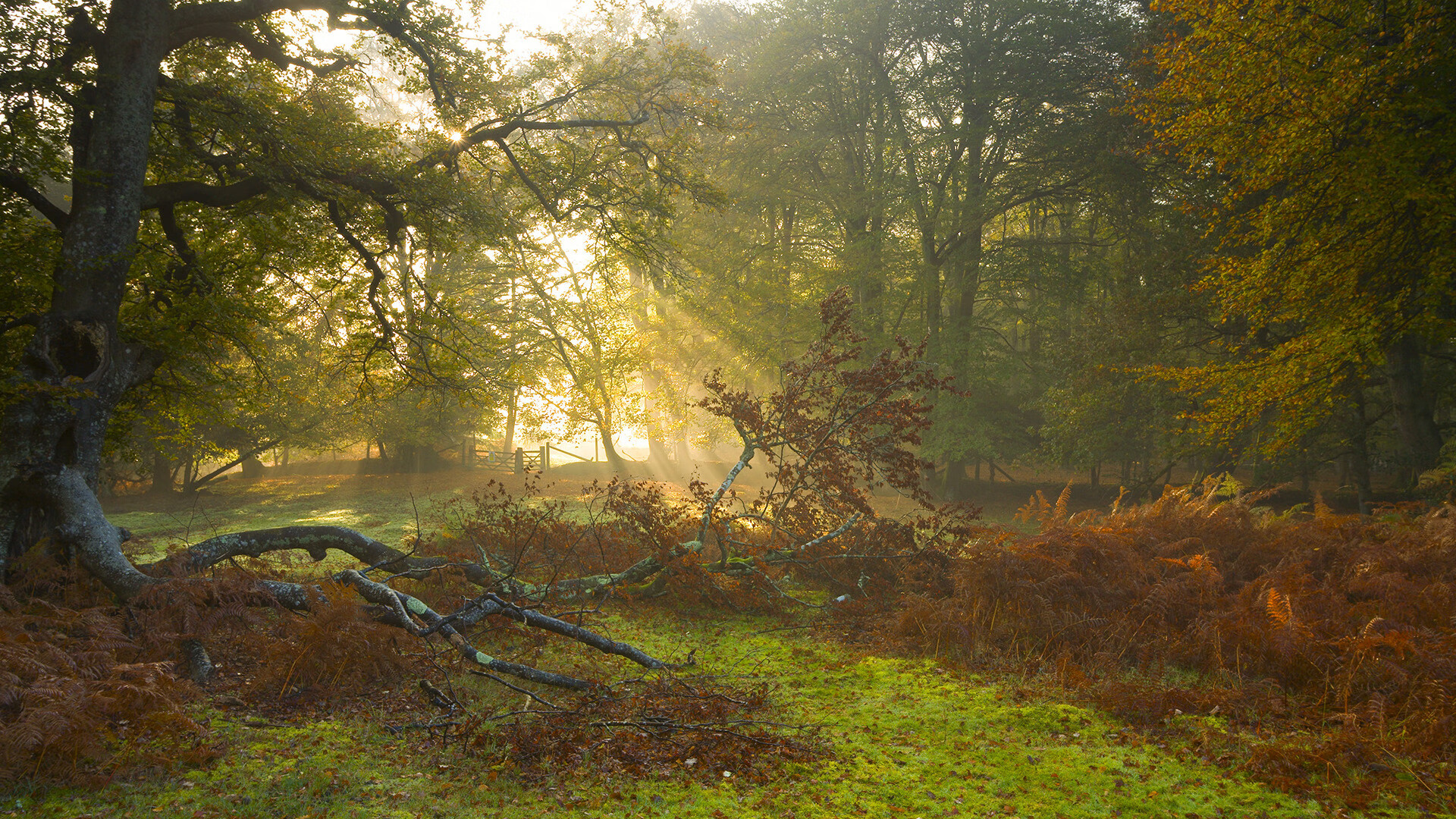 足球换人策略成为媒体热议话题，足球比赛换人规则介绍
