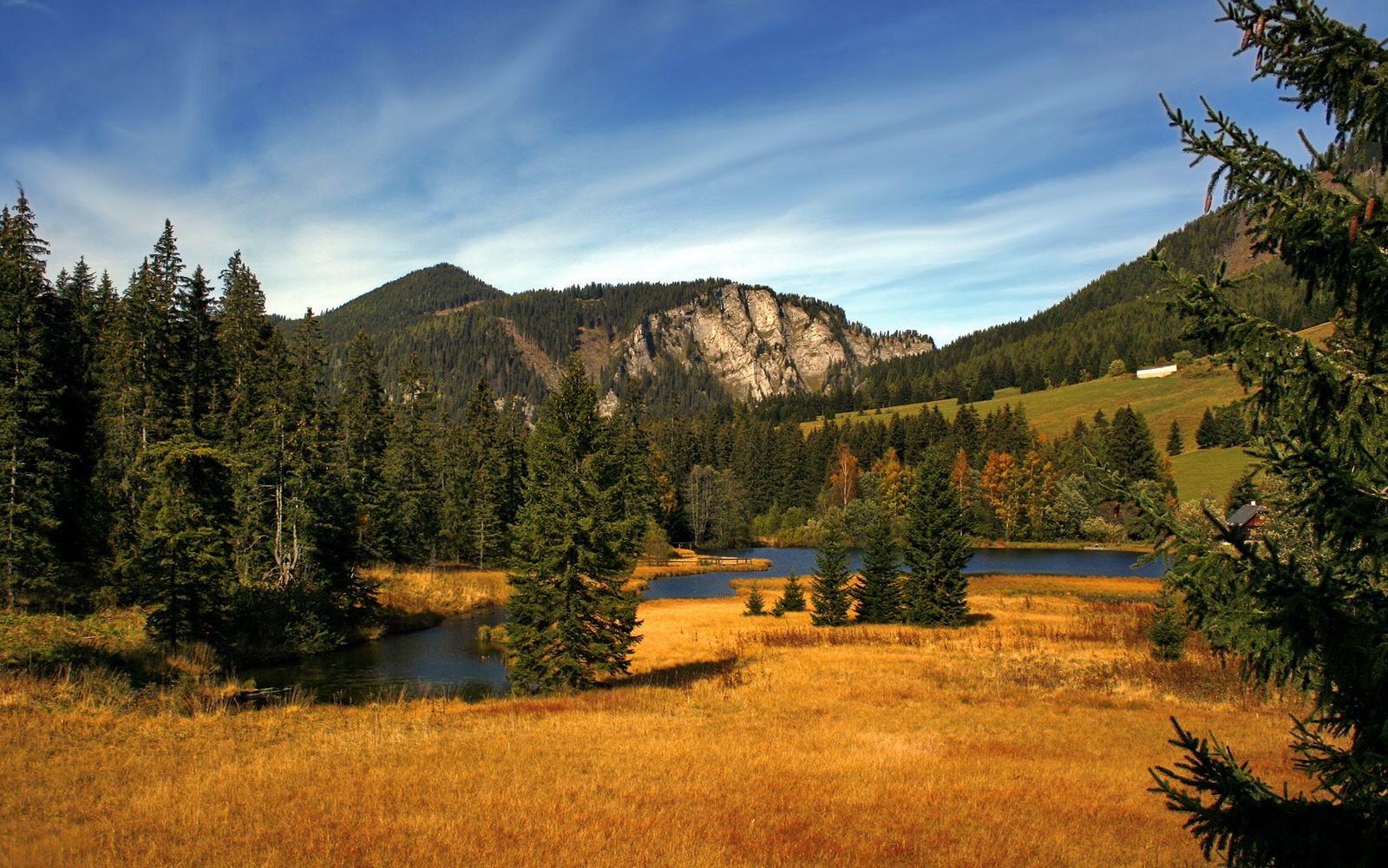 “诺克·达维德·彼得森的强力进攻，助南非队胜利在望”