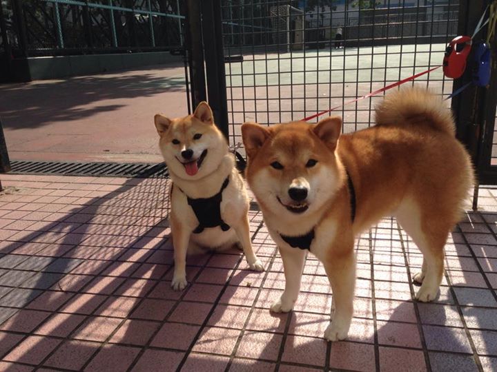 爱游戏体育平台-世界杯激情再燃：高潮不断，精彩值得期待！，世界杯精彩片段视频