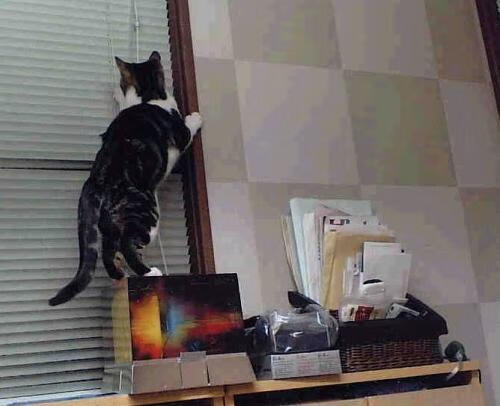 爱游戏体育官方网站-主教练在训练中重点布置角球战术提升定位球得分效率，足球角球球员站位