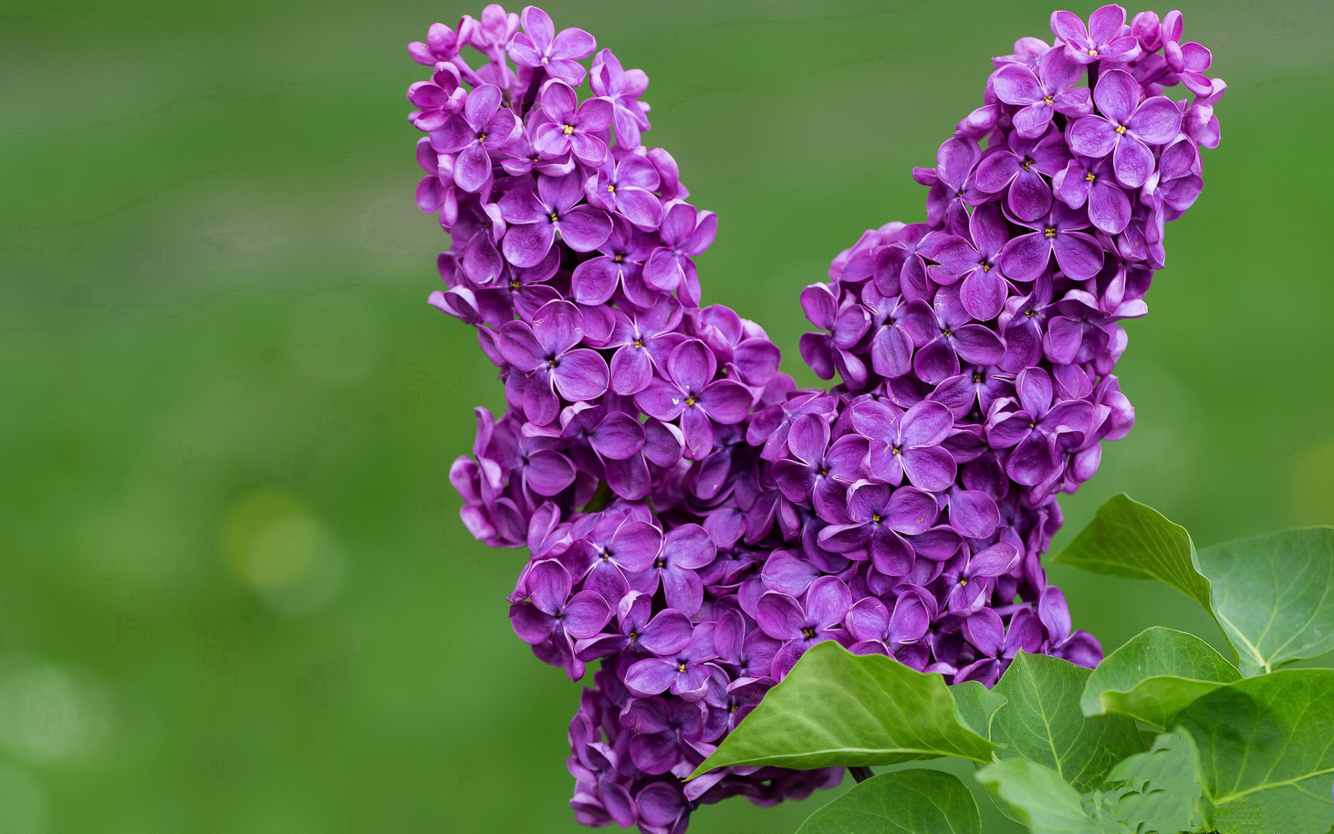 各地城市联赛活跃足球成为民间社交热门载体,中国城市足球联赛排名