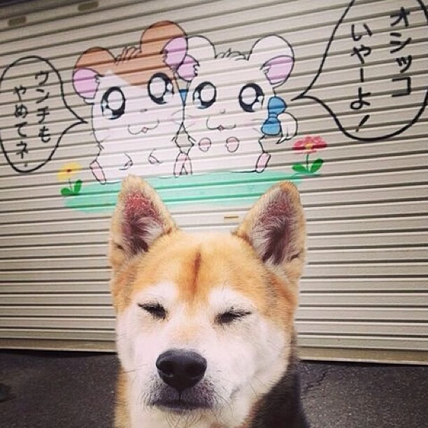 弗兰:全黑队的“攻防转换专家”,每次反击都能迅速打破对方防线