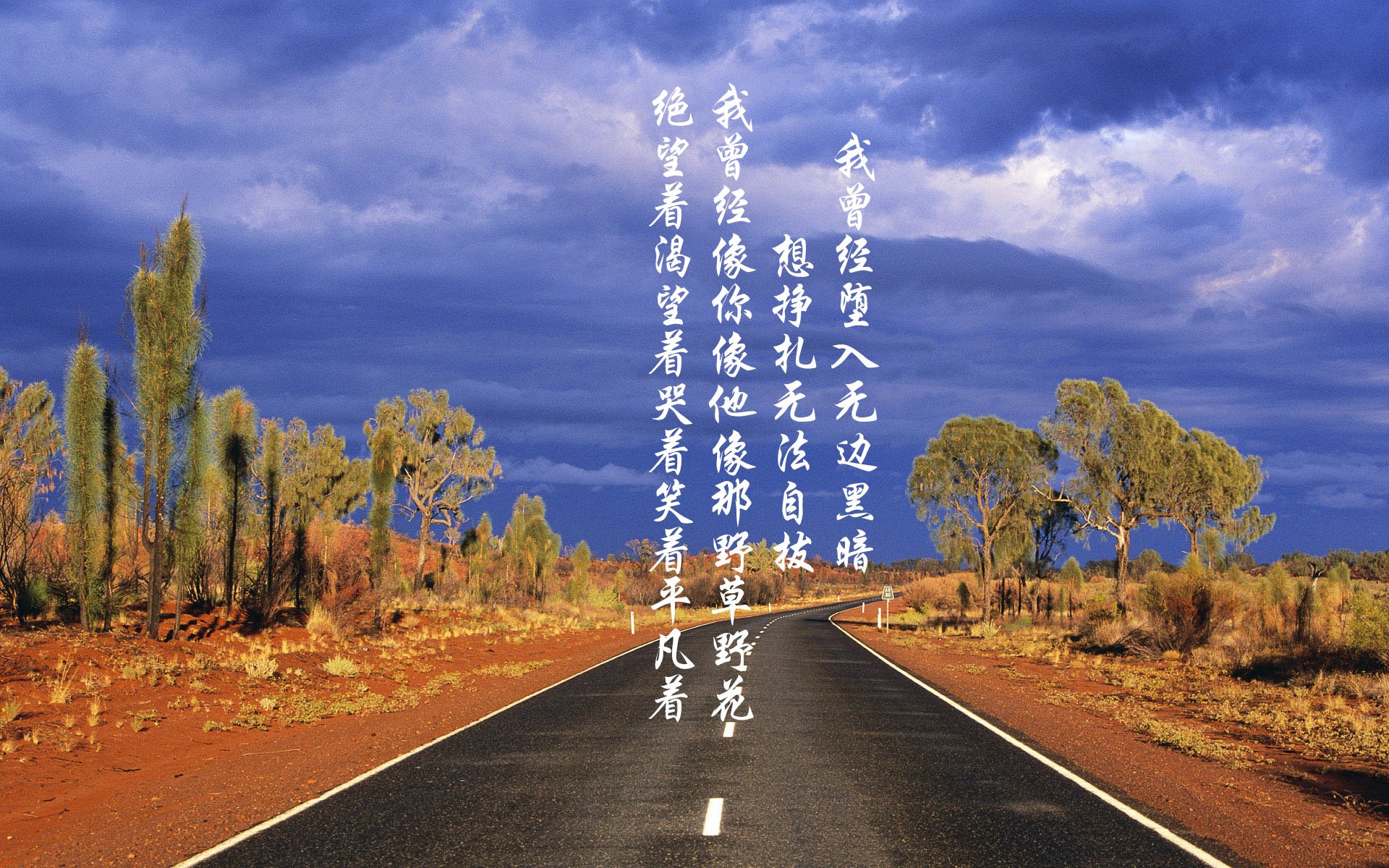 澳大利亚男子橄榄球队战术创新大获好评，澳大利亚橄榄球比分