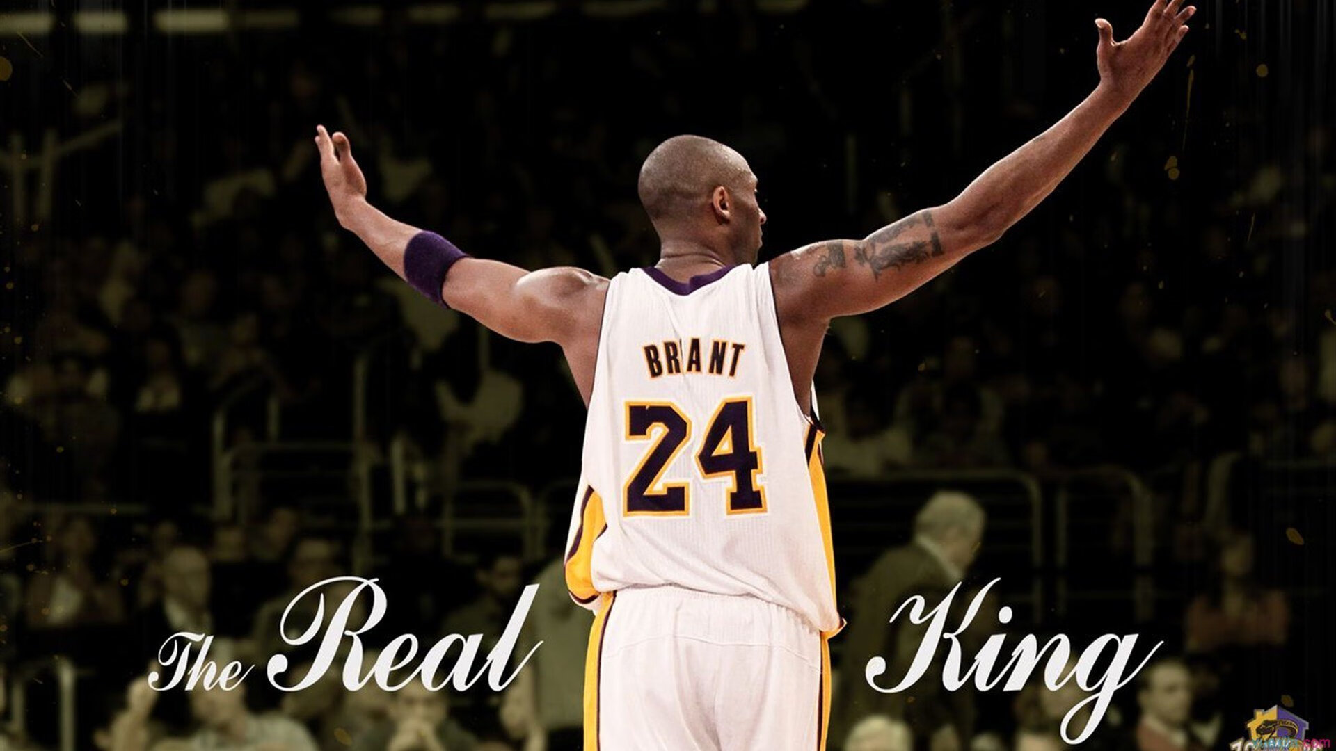 “决战时刻!拳台上的王者之争”